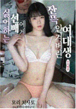 回声档案馆剧集封面